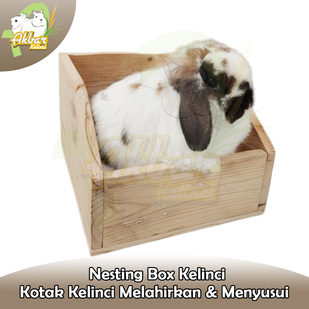 Nesting Box - Kotak Kelinci Melahirkan menyusui-tempat Tidur Hewan - Nest Box - Kotak lahiran kelinc