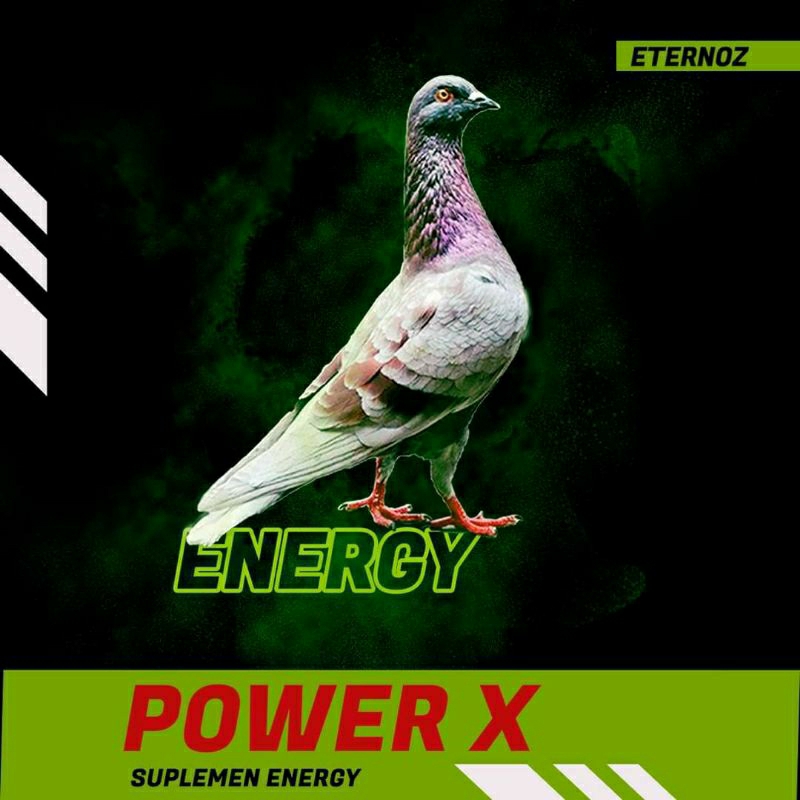 POWER X stamina tambahan merpati