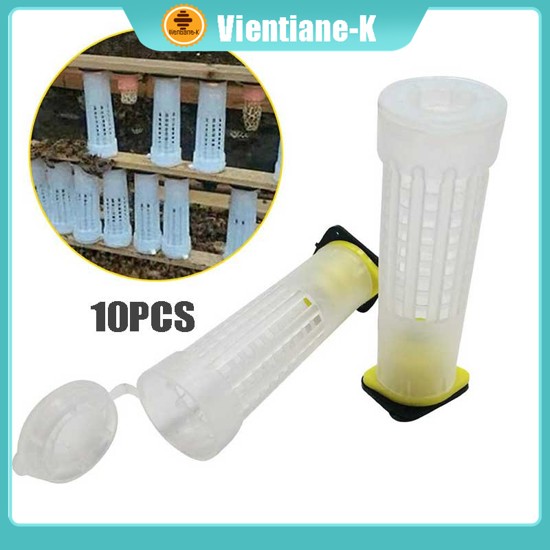 Kurungan Ratu Lebah Rumah Lebah Madu Untuk Budidaya Lebah Madu