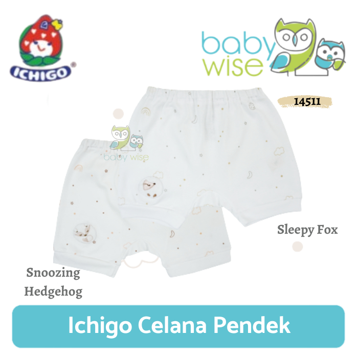 Ichigo Celana Pendek Part 3 - Celana Pendek Anak Laki-Laki