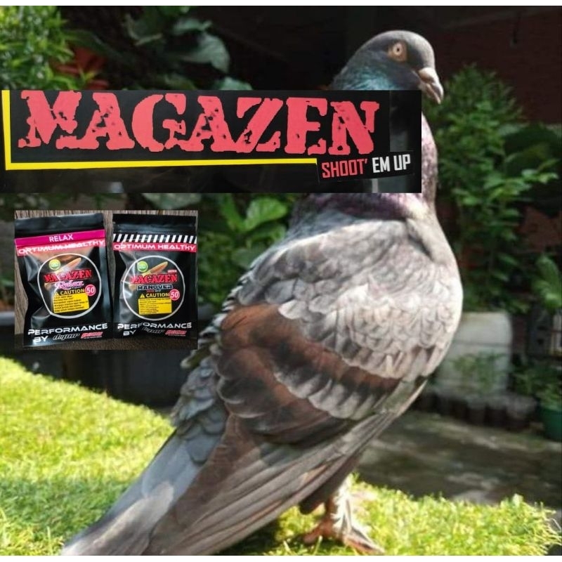 Magazen paket relax angkrem +Manuver suplemen jamu merpati kolongan lebih murah