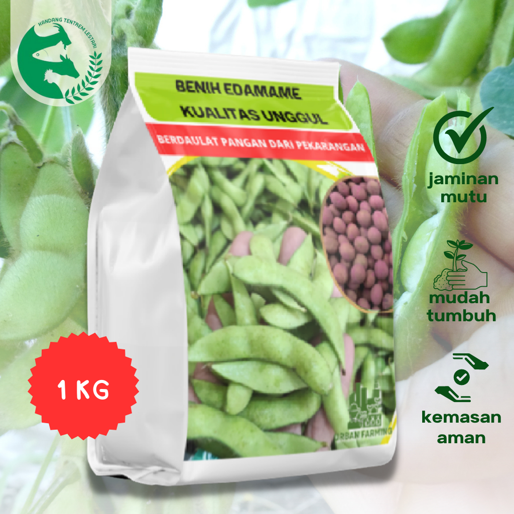 1 Kg Benih Edamame PREMIUM Kedelai Jepang Jumbo Ryoko