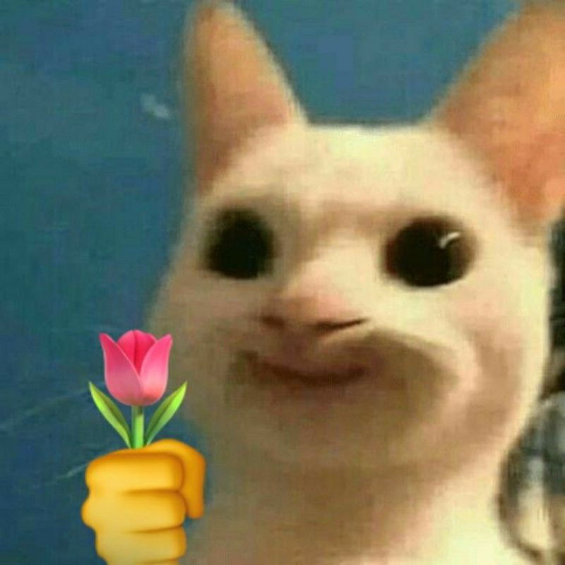 preloved cantik itu luka hardcover