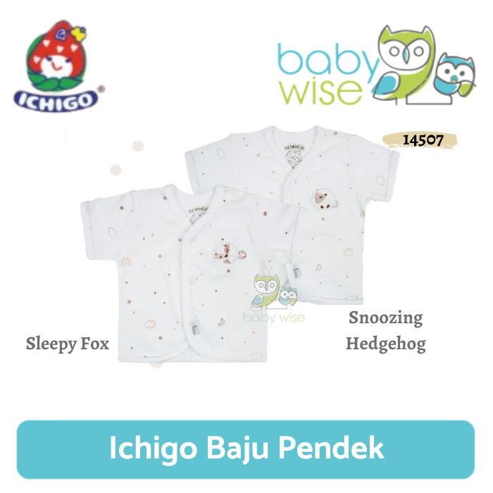 Ichigo Baju Pendek Part 2 - Atasan Pendek Anak Laki-Laki