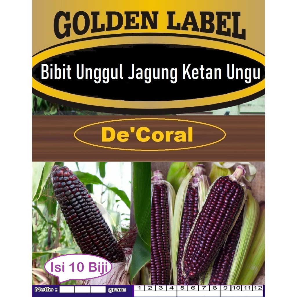 Bibit Unggul Jagung Ketan Ungu | Biji Benih Jagung Ungu | Jagung Pulut