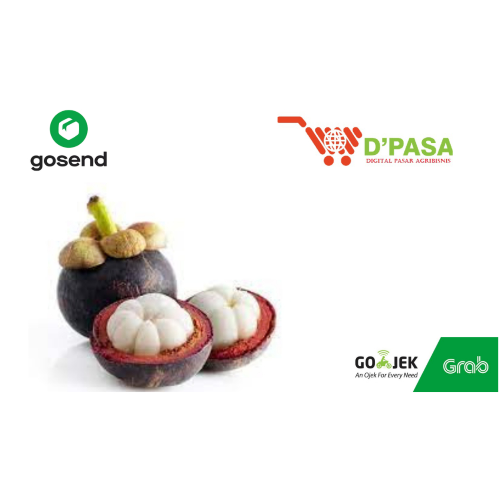 

buah manggis fresh dpasa padang