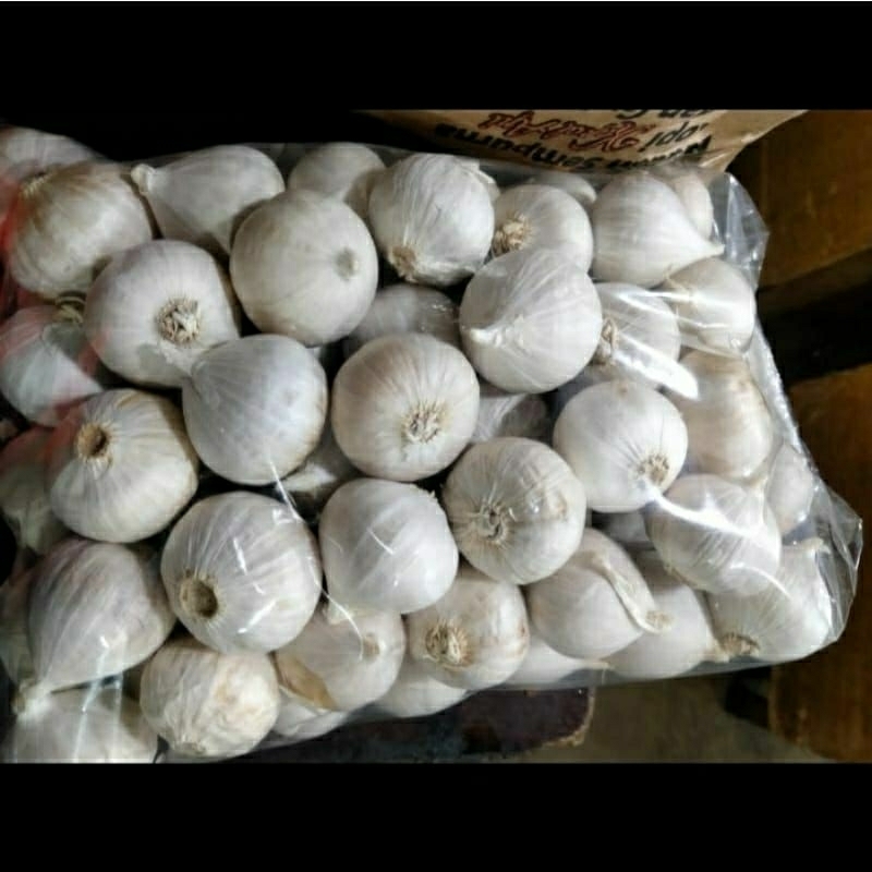 

bawang putih tunggal super putih 1kg/bawang super free kardus packing baru