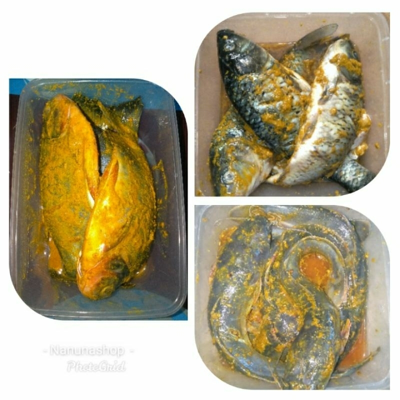 

Fresh Marinasi ikan bumbu kuning