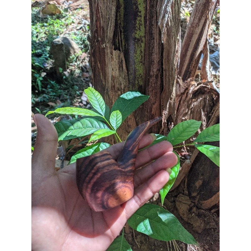 cangklong kayu sonokeling. wonogiri