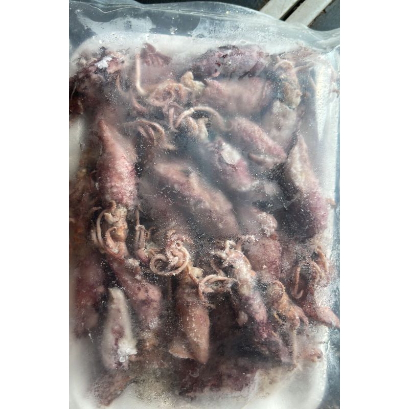 

Cumi asin 250 g