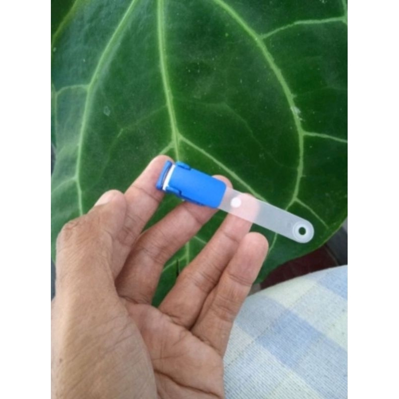 

Jepitan penjepit id card name tag kerang plastik biru terlaris