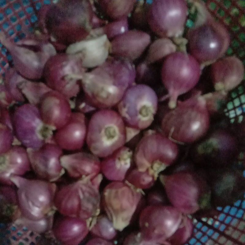 

bawang merah ukuran sedang 1/2 kg