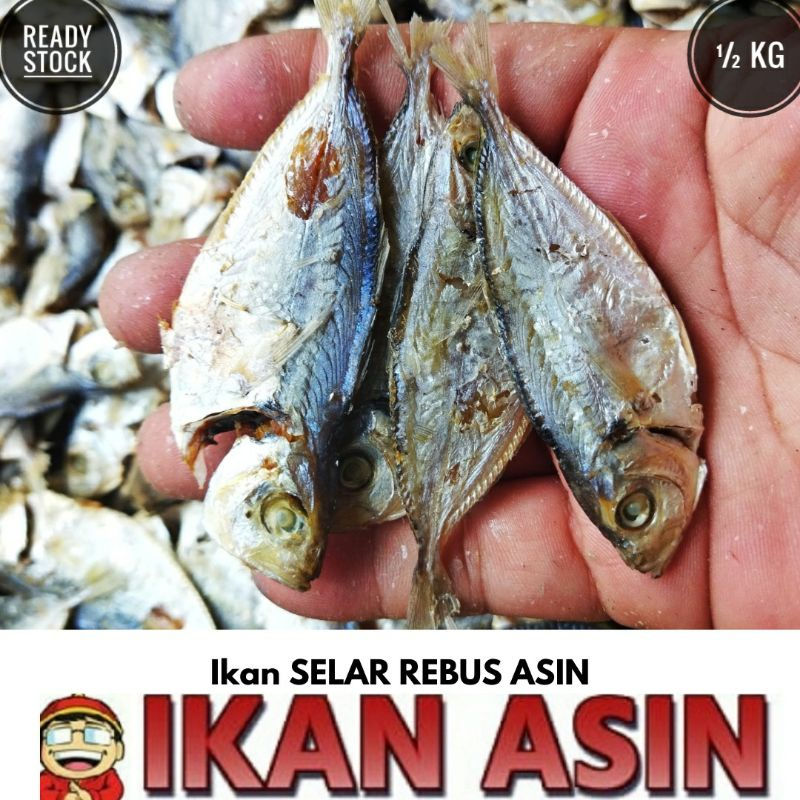 

Ikan Asin SELAR REBUS 500 gr