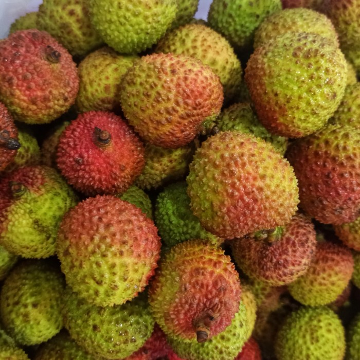 

LYCHEE MADU - LECI HIJAU SEGAR - SUKABUAH