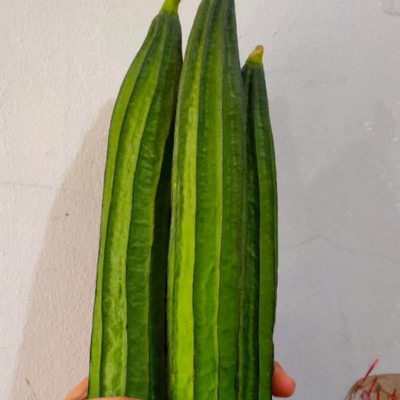 

sayur oyong