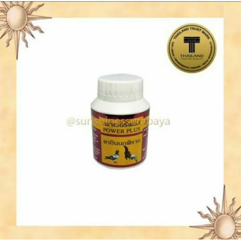 Power Plus Ayam merpati