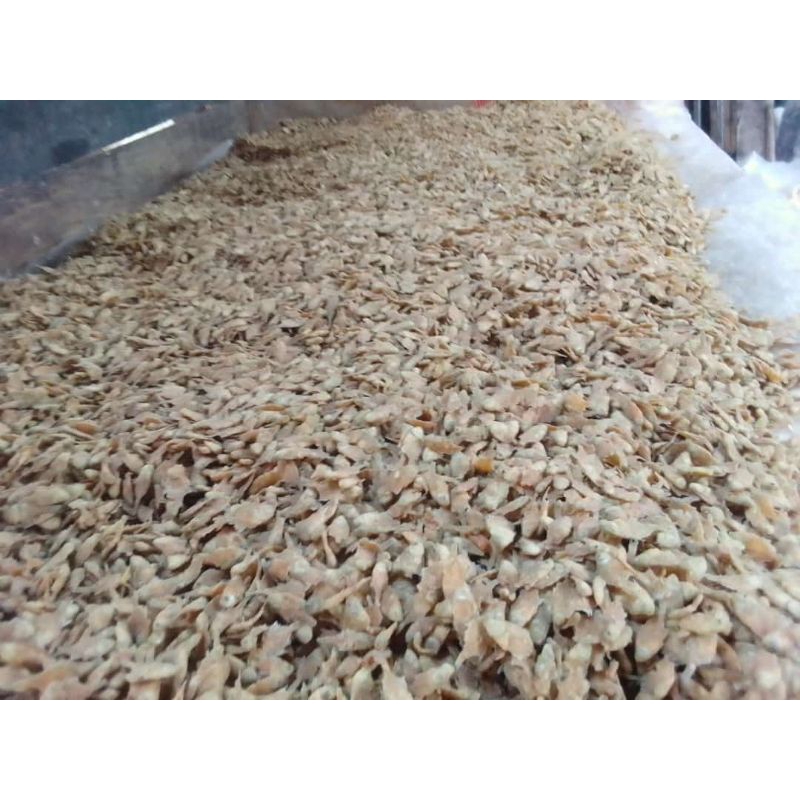 

GORENG IKAN BEBY FISH 15KG
