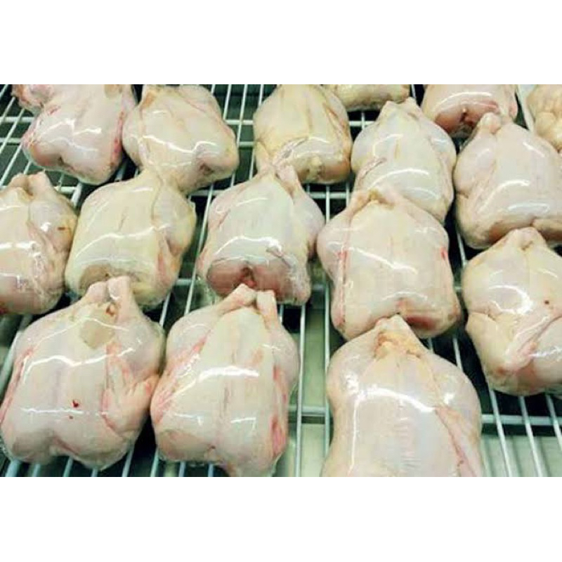 

Ayam Potong Ras Bersih