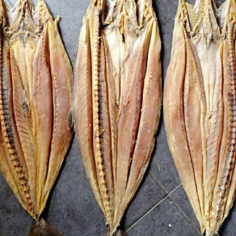 

1 Ekor 700 gram, iikan Telang Tenggiri Kecil