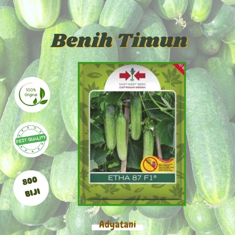 Benih Bibit Timun Lalap Etha 87 F1 800 Biji Original Cap Panah Merah