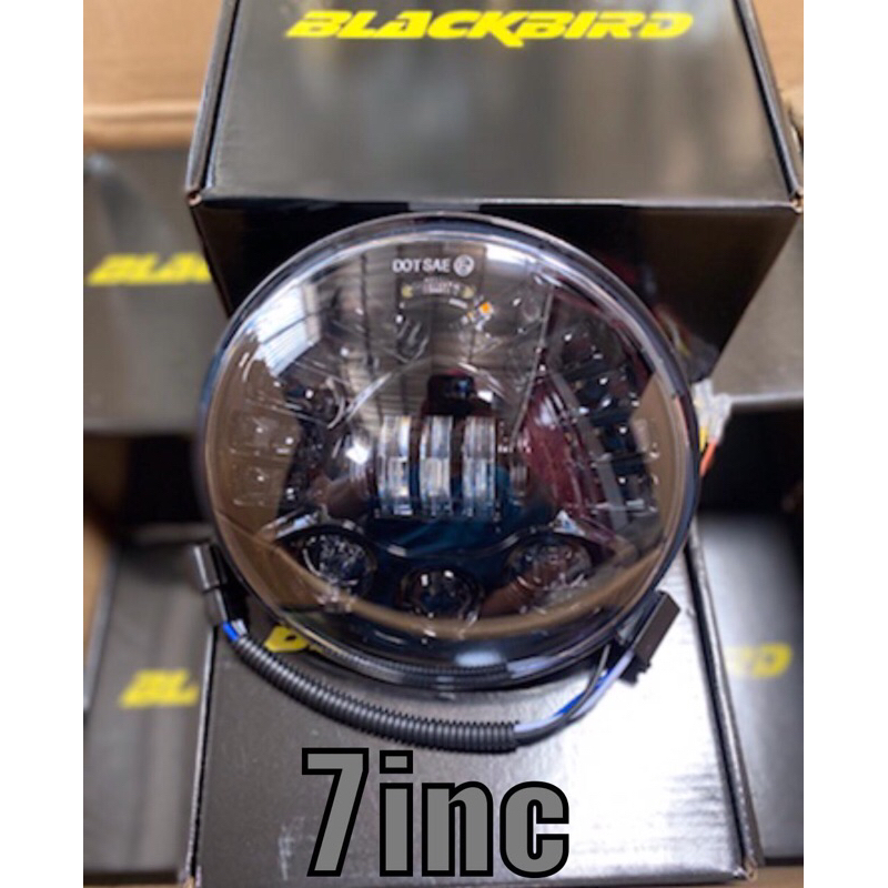 daymaker blackbird 7in