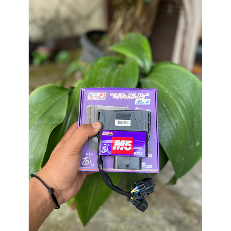 Ecu Uma m5 mx king v1