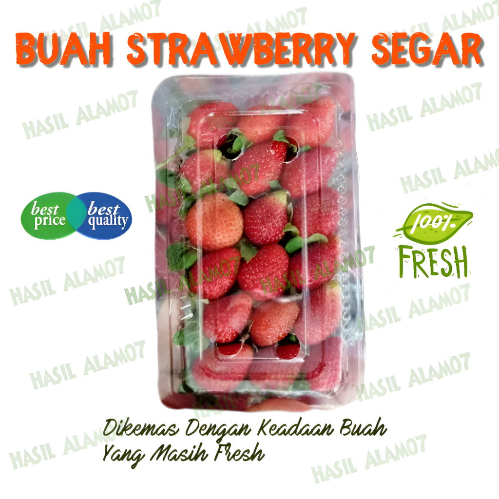 

Buah Strawberry Segar Kemasan 120 Gram