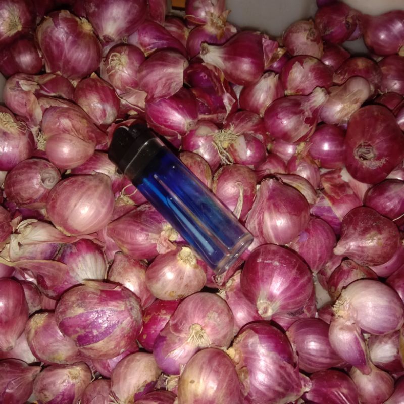 

Bawang Merah Lokal Asli 1 kg