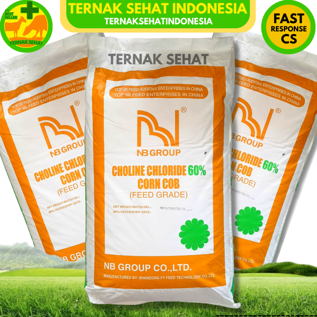 CHOLINE CHLORIDE SHANDONG - Feed Additive Nutrisi Ternak Unggas Babi Ikan Ayam