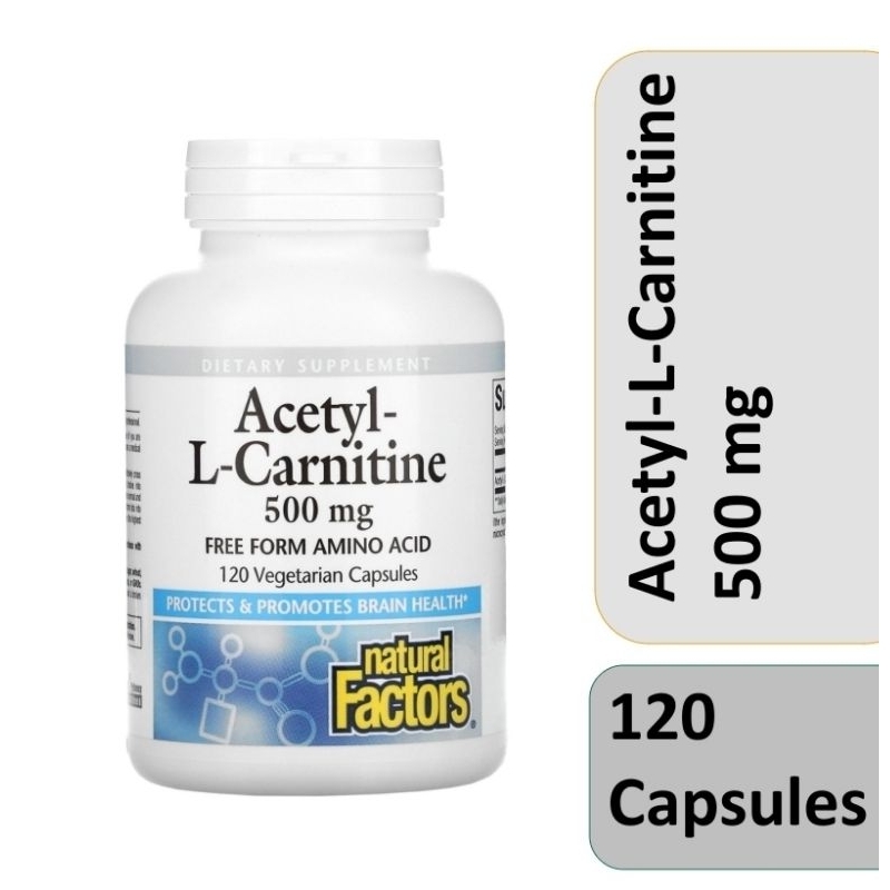 Natural Factors Acetyl L Carnitine Acetyl-L-Carnitine Asetil-L-Karnitin brain antioxidants 500mg 500