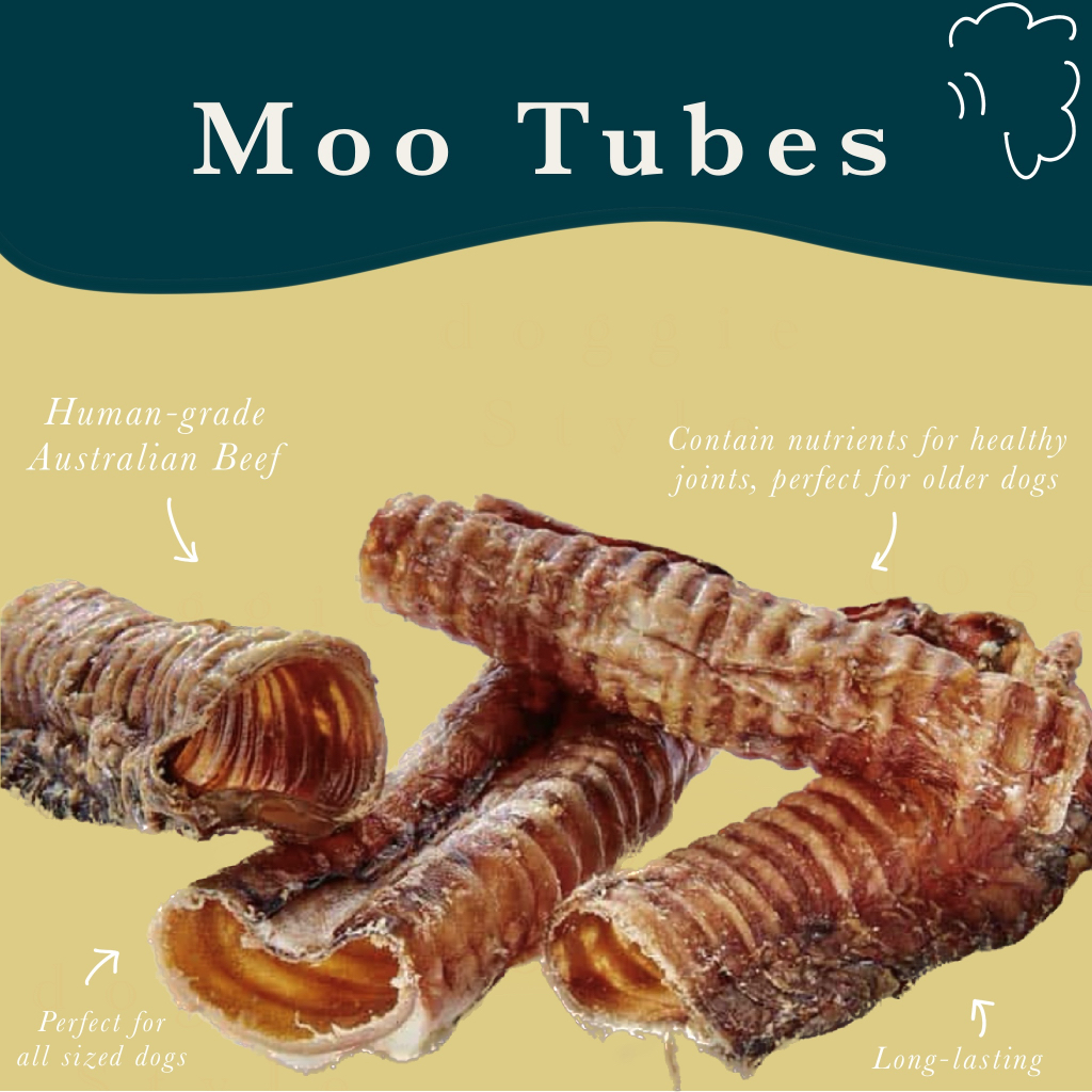 Moo Tubes / Beef Trachea / Cemilan Anjing Tenggorokan Sapi