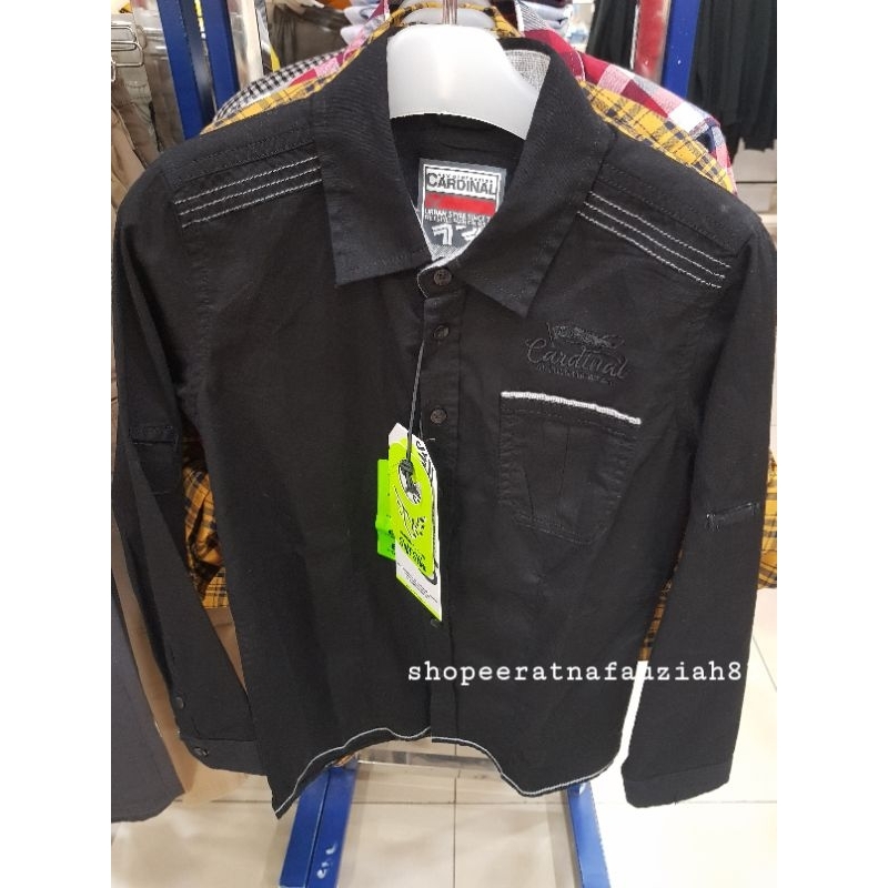 cardinal kids original