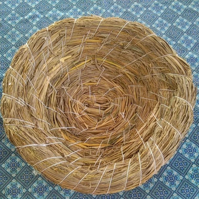 sarang ayam tarangan ayam besar sarang jerami media telur