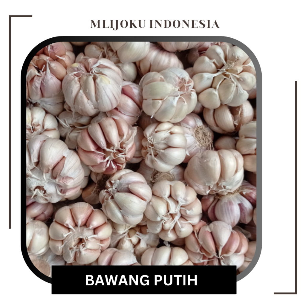 

Bawang Putih Super, Besar, Bersih 100gr, 250gr, 500gr