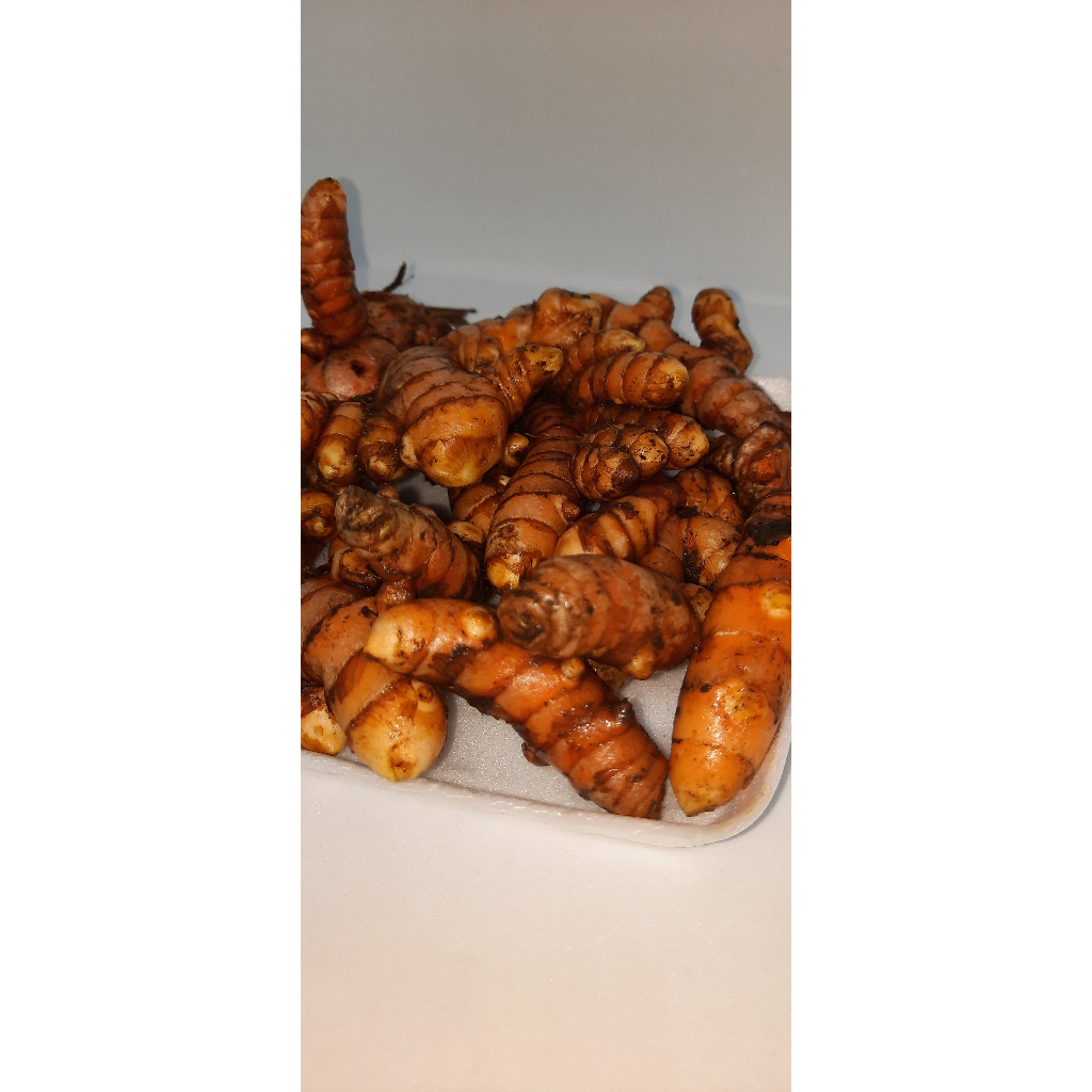 

Kunyit Organik Fresh siap olah