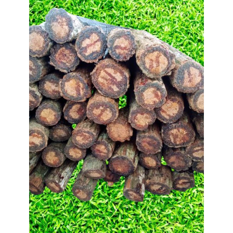 

Tampala Rempah Batang