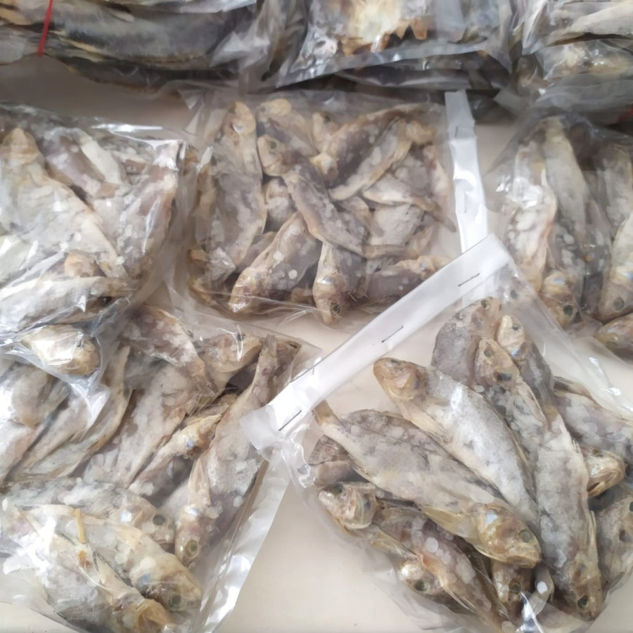 

Ikan Montok Asin Kering RJ Fish