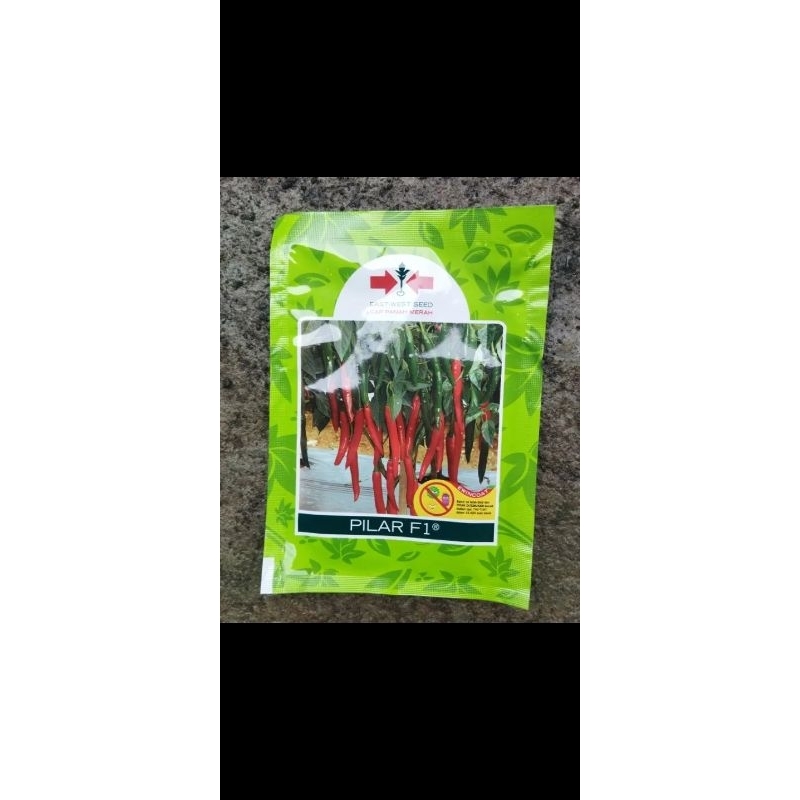 benih cabe besar Pilar 10gr