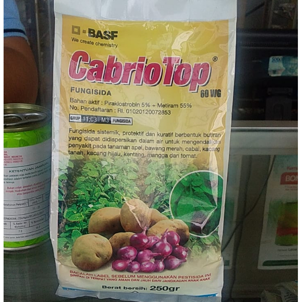 Cabrio Top 60 WG 250 gr