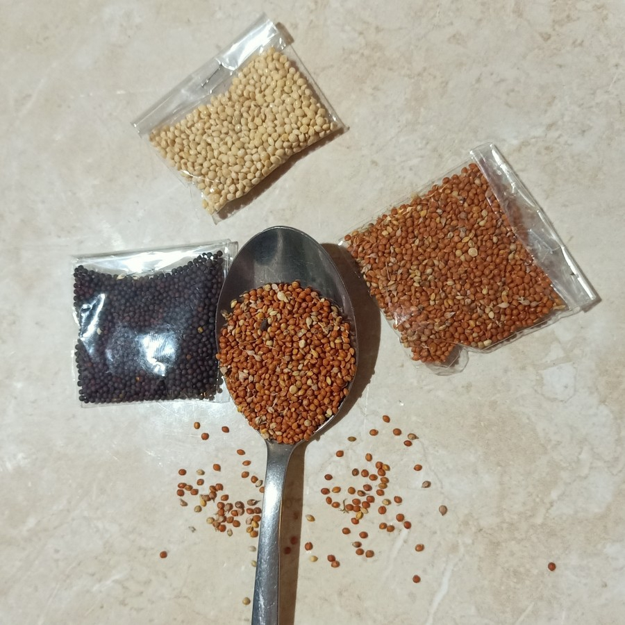 Biji Milet Warna Warni Prakarya Kolase/Prakarya Kolase Anak Sekolah