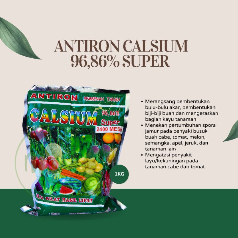 ANTIRON CALSIUM 95% 1KG
