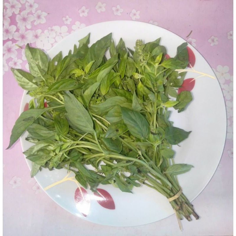 

Daun kemangi