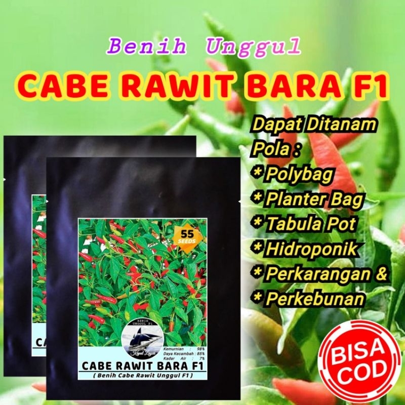 BIBIT UNGGUL CABE RAWIT BARA F1