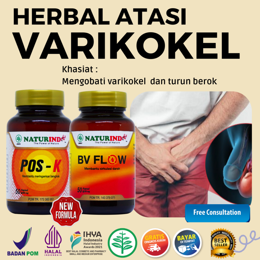 obat varikokel varises bengkak buah zakar benjolan nyeri testis turun posk bv flow naturindo