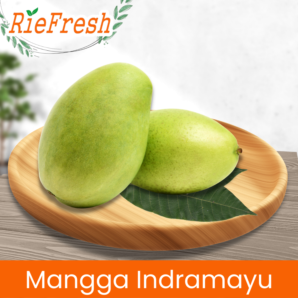 

Mangga Indramayu ( Mengkel )