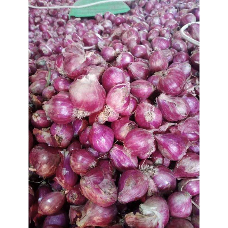 

BRAMBANG Lokal 1kg / Bawang Merah 1kg