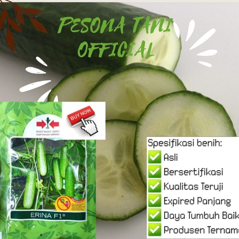 BENH TIMUN ERINA F1 20 GRAM cap panah merah