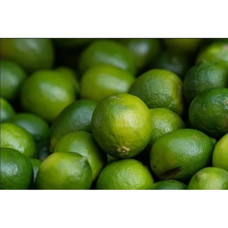 

JERUK NIPIS SUPER FRESH 100 GRAM