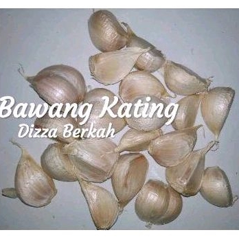 

Bawang Putih Kating/250gr/BAWANG KATING/250gr/Bagus/Wangi/Fresh/Dizza Berkah