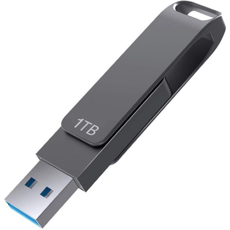 flashdisk 1tb